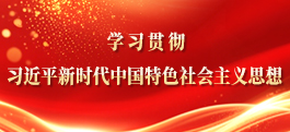 学习贯彻习近平新时代中国特色社会主义思想