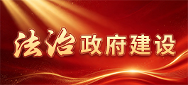 法治政府建设